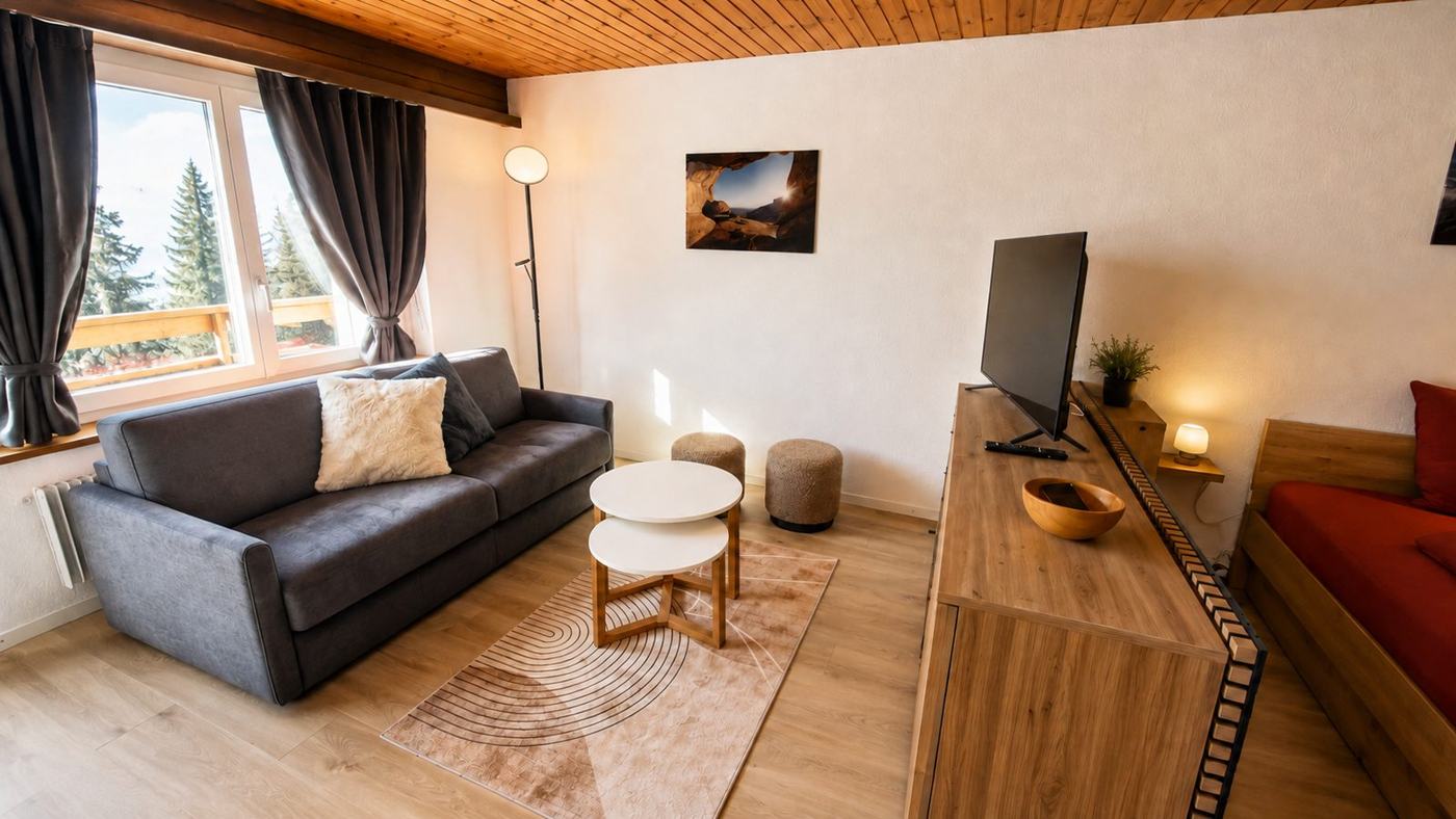 Le canapé et le meuble télé